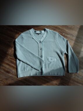 Adrianna Papell Womens Pastel Blue Textured Knit Frayed Trim Cardigan Sweater XL